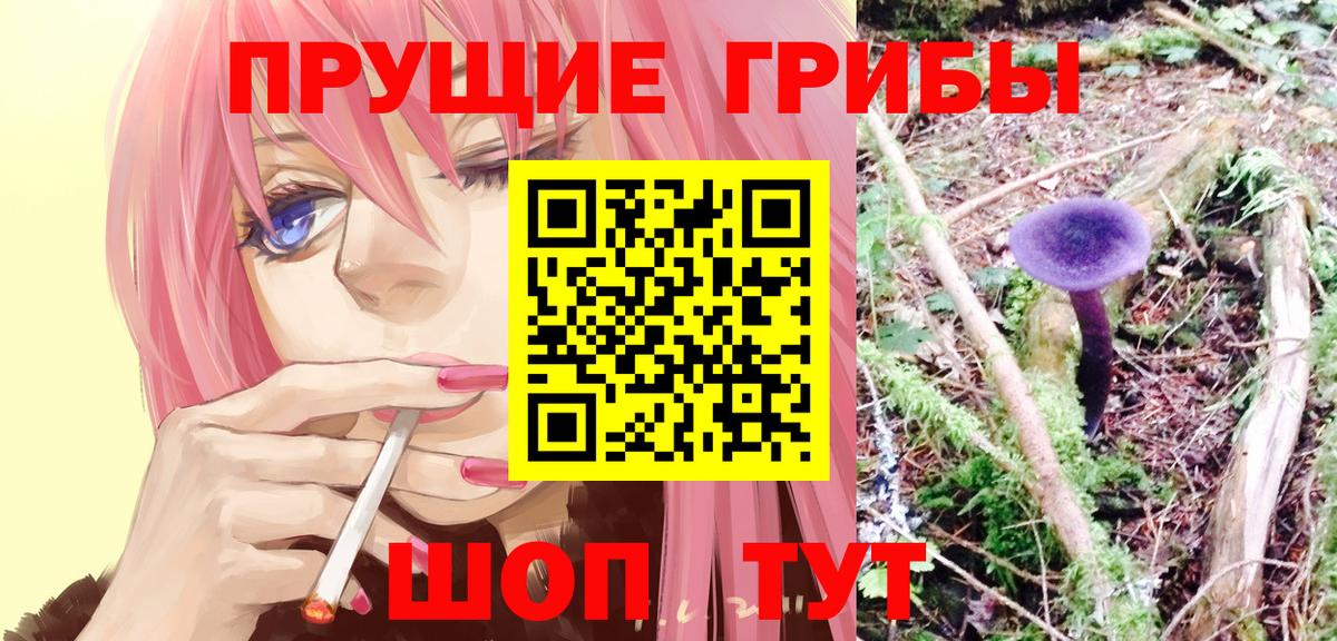 Ярцево  Псилоцибиновые грибы MAGIC MUSHROOMS  Вход с VPN 
